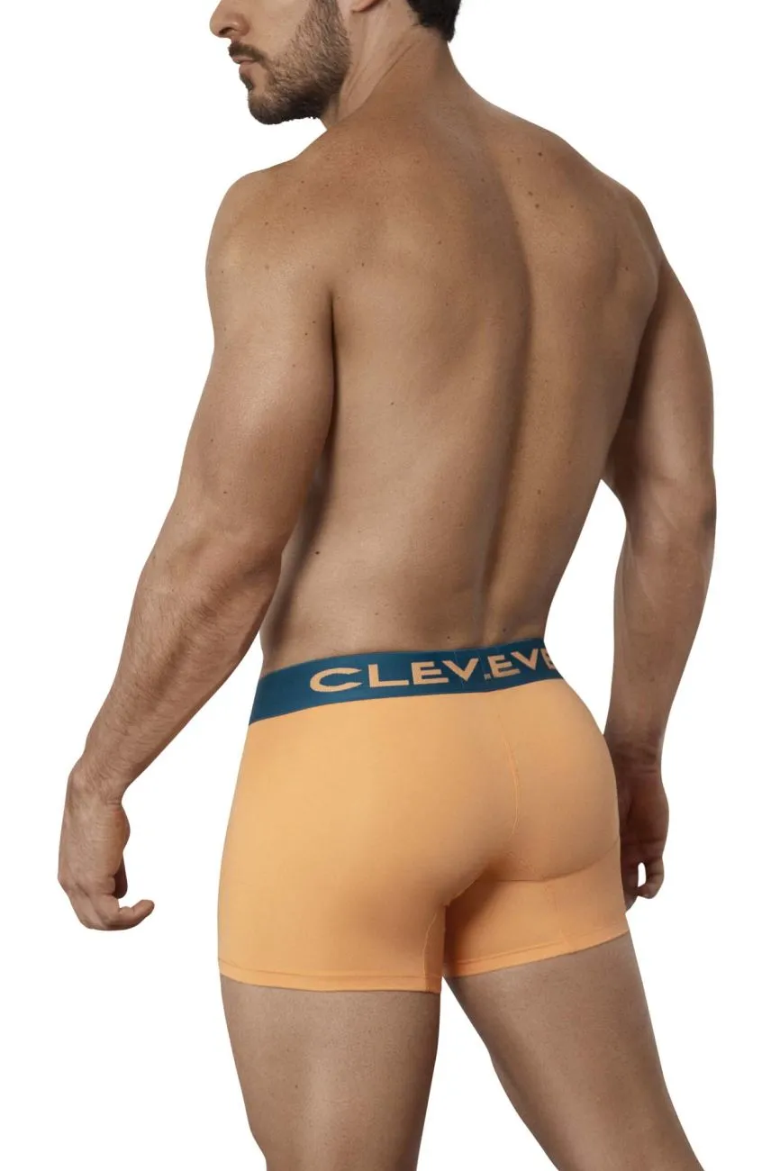 Clever Coque Boxer Briefs