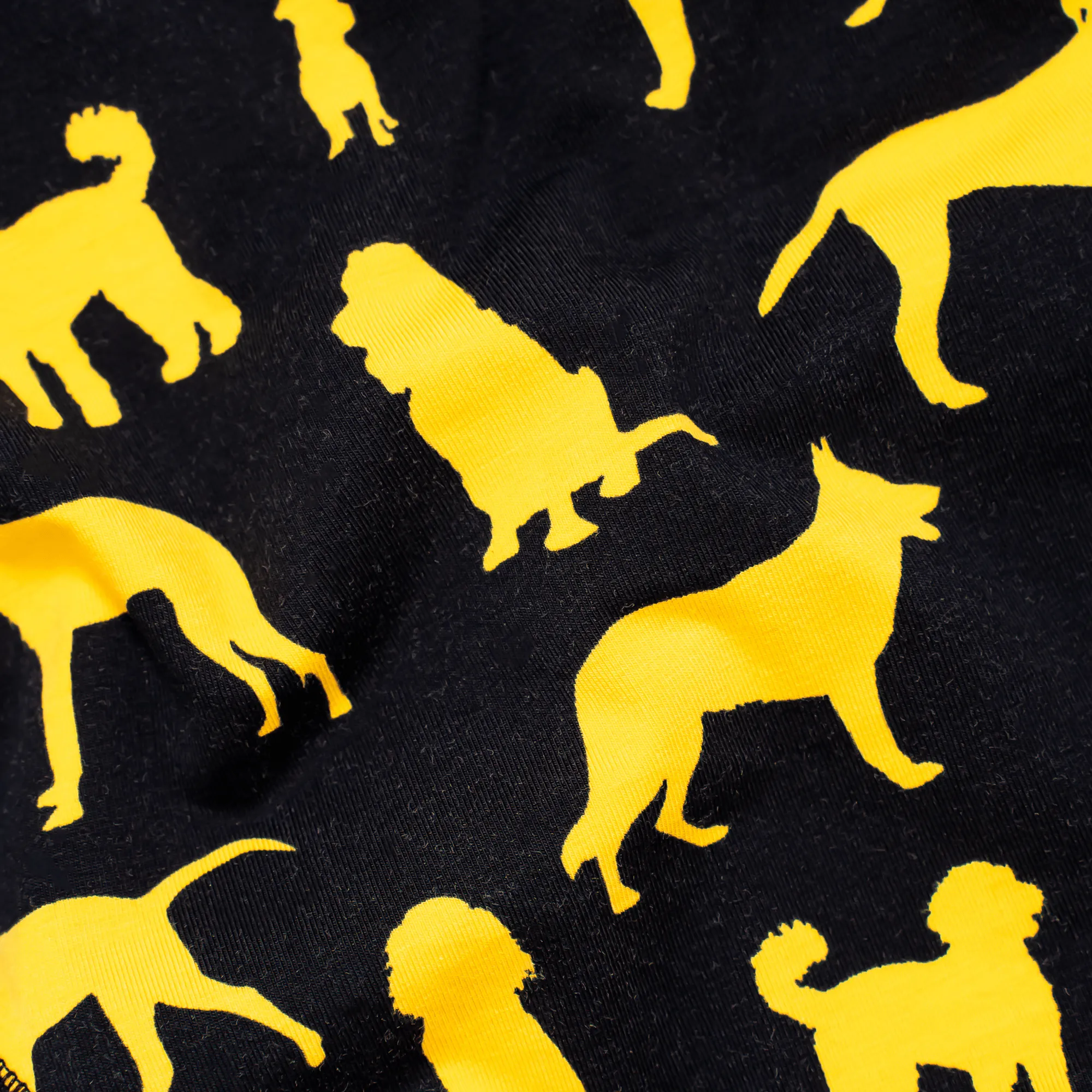 Dogs Trust - Ladies Briefs