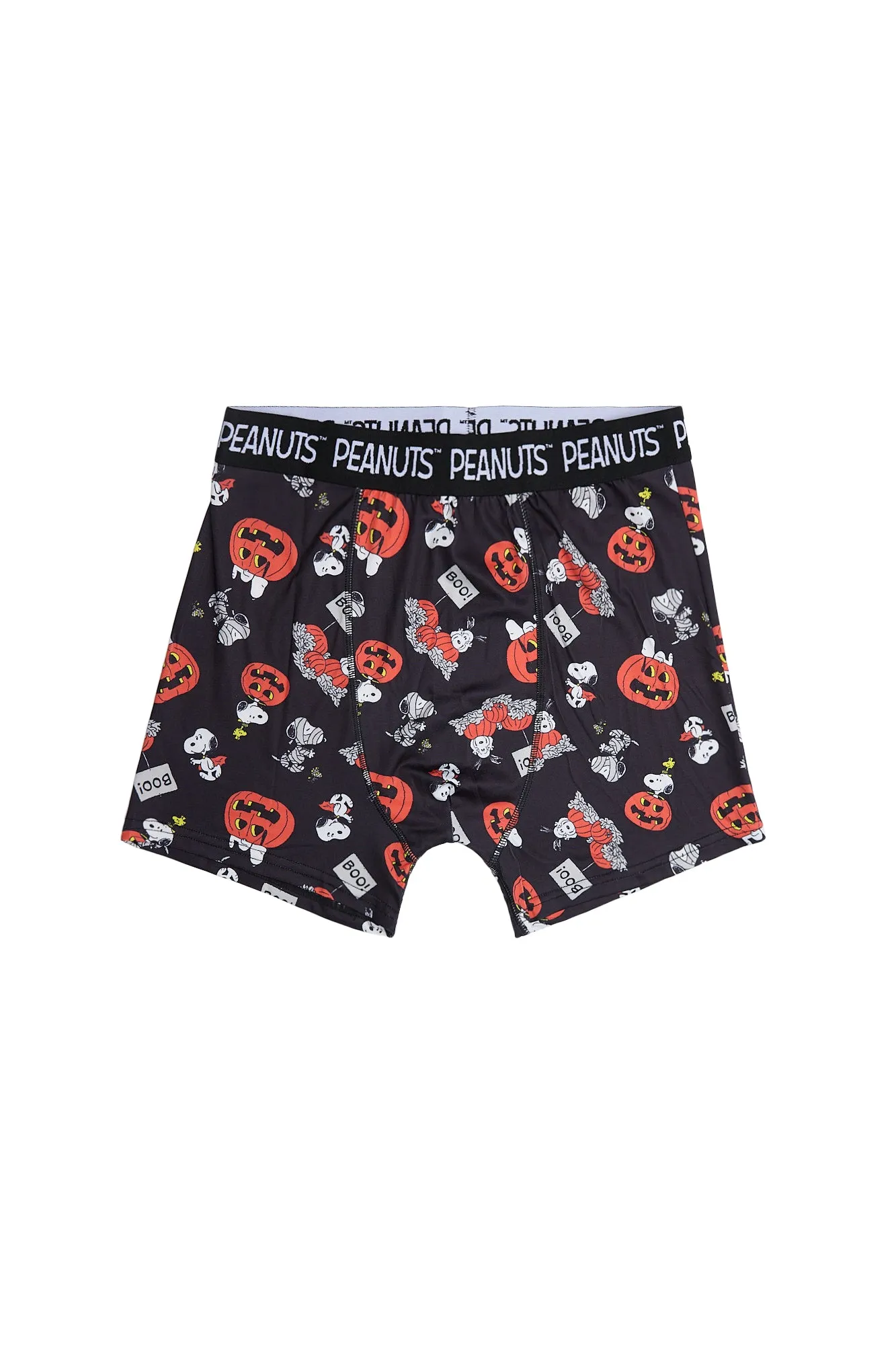 Peanuts Snoopy Printed Boxer Briefs