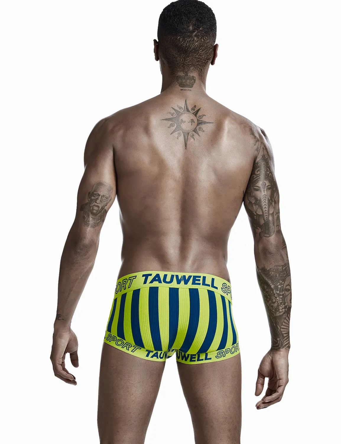 Stripe Boxer Brief 0202