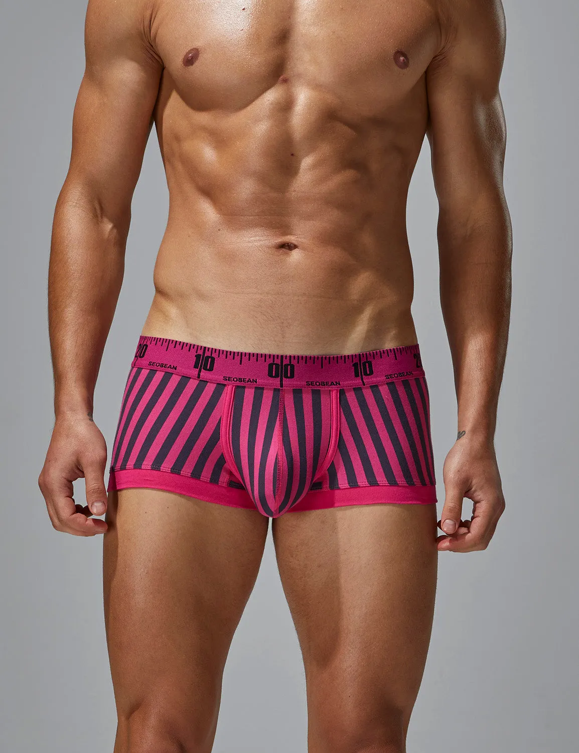 Stripe Boxer Brief 240211