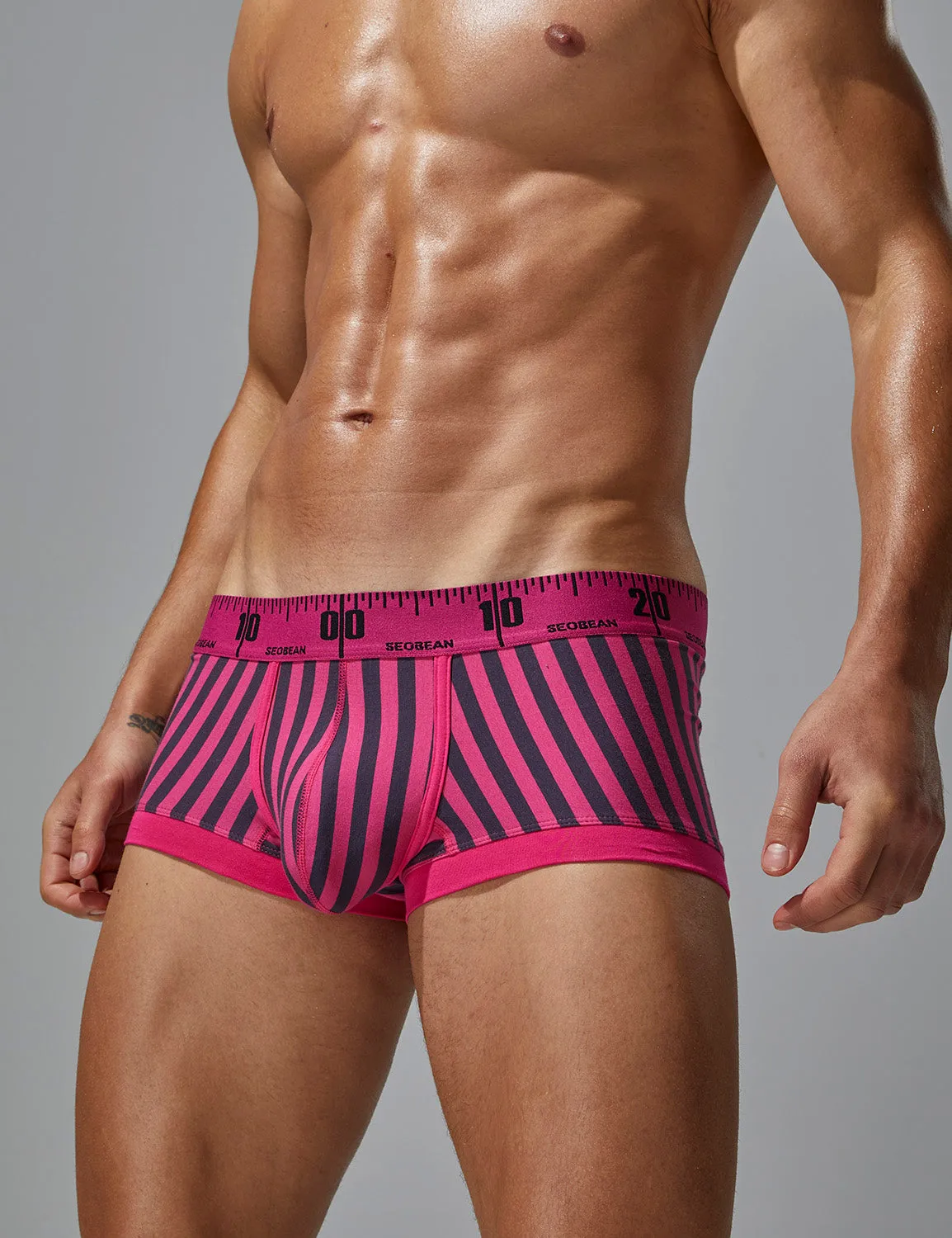 Stripe Boxer Brief 240211